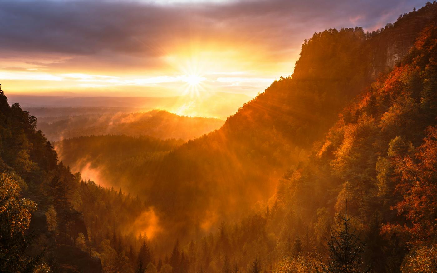 mountains and tree range during golden hour by Artem Sapegin courtesy of Unsplash.